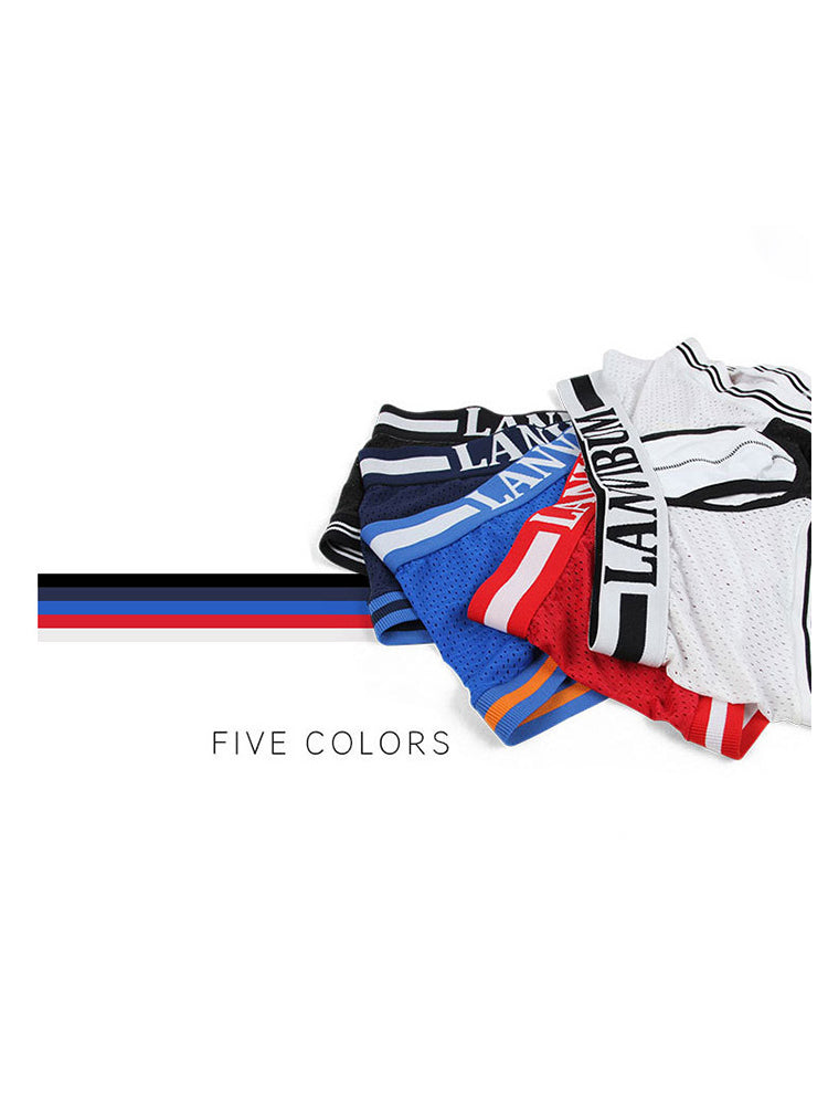 4 Pack Men's Mesh Breathable Quick-Dry Sexy Nylon Trunks