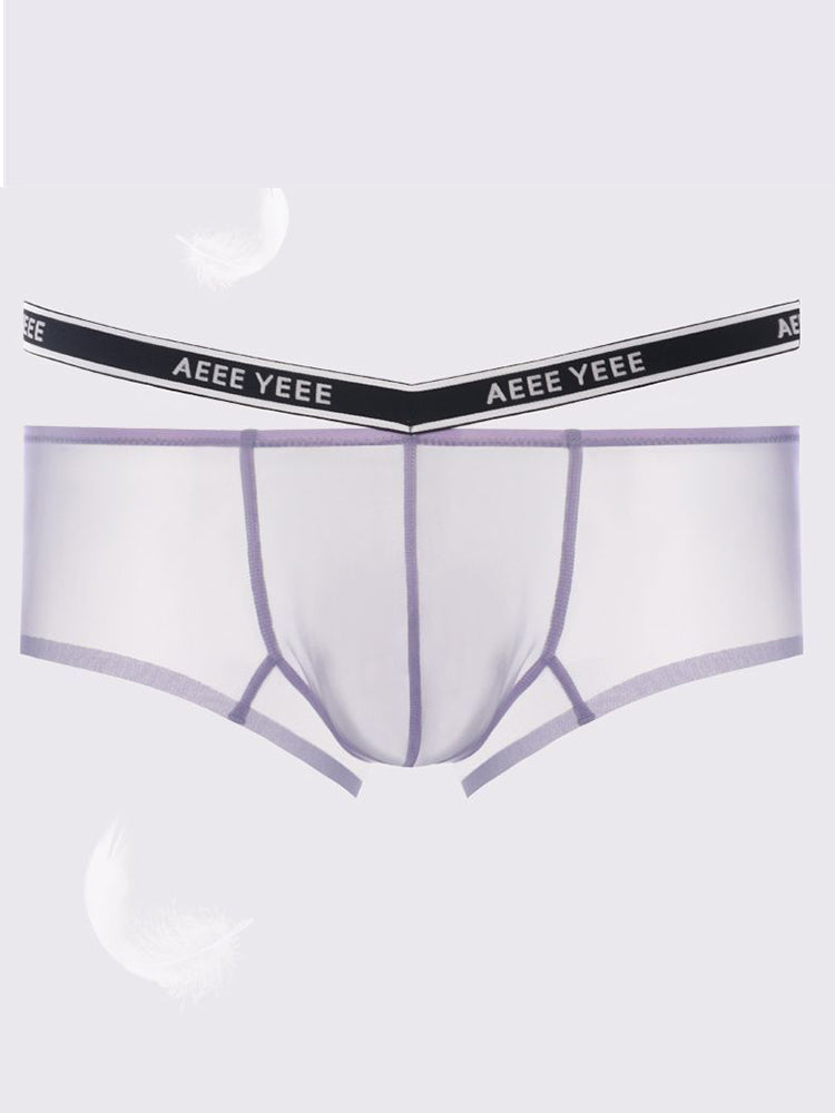 Men's Transparent Ice Silk Waistband Separate Briefs