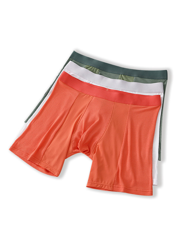 2 Pack Men's Anti-friction Sports Long Nylon Mesh Briefs