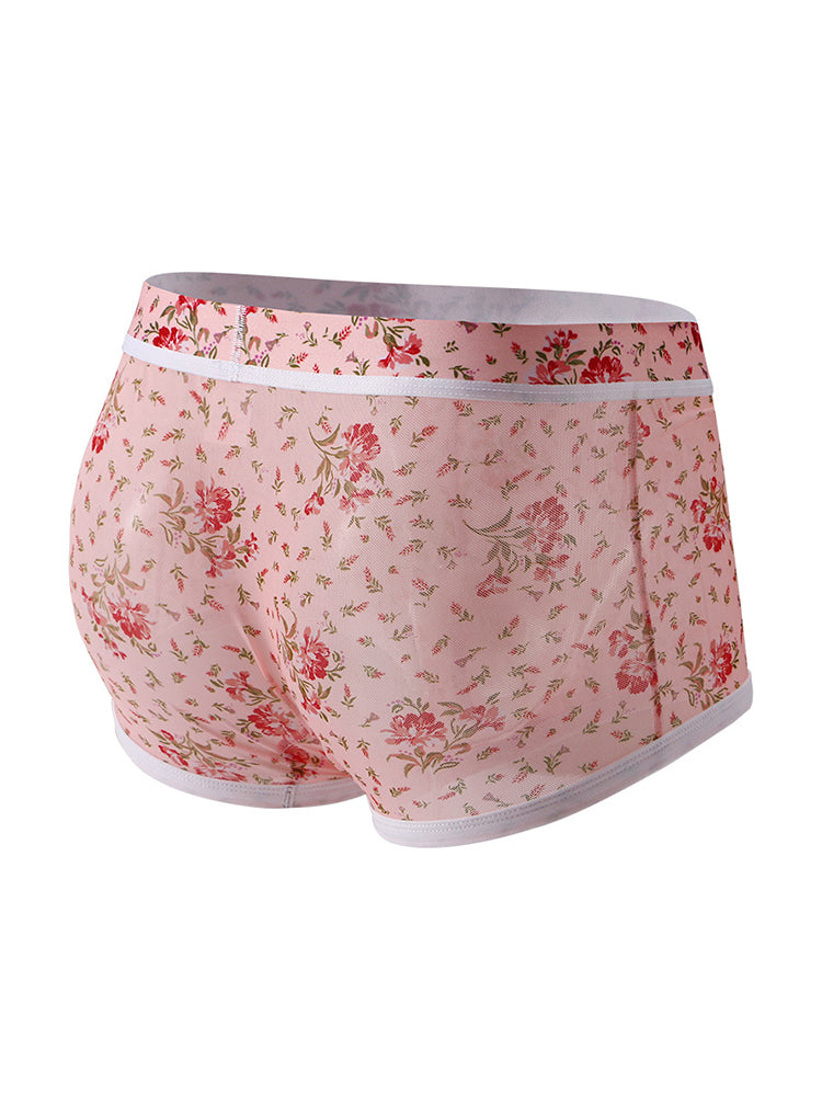 2-pack Men's Mesh Elephant Nose Transparent Boxer Briefs