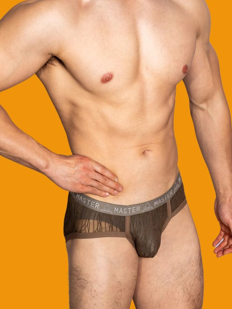 2 Pack Men's Low-Rise Sexy Lace U-Pouch Briefs