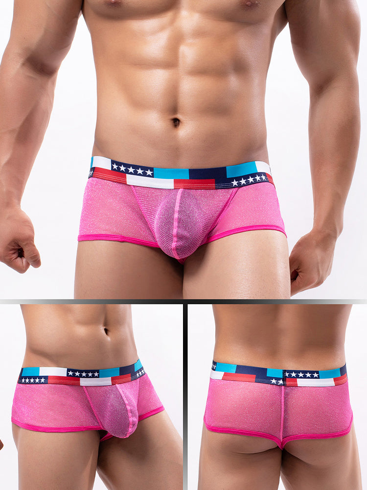 4-pack Men's Low-rise See-through Micro-mesh Pouch Shiny U-convex Wide-edge Boxer Briefs