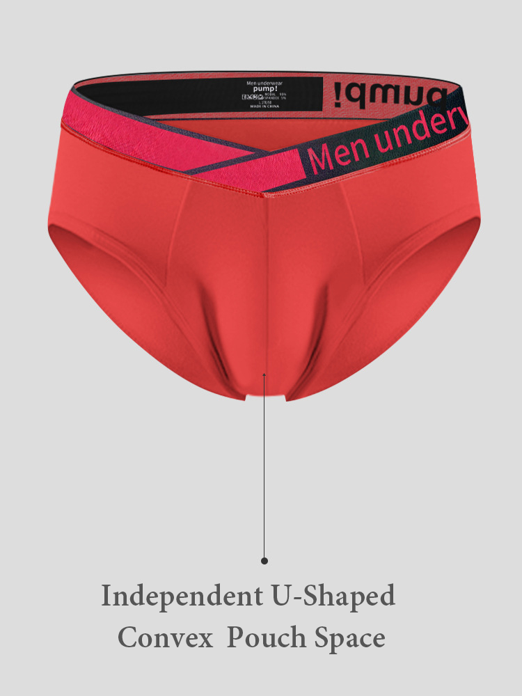 2 Pack Men's V Waistband Modal Briefs