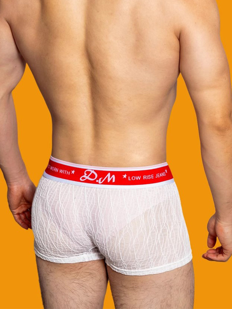 3 Pack Men's Lace Mesh Quick-Drying Breathable Solid Color Trunks