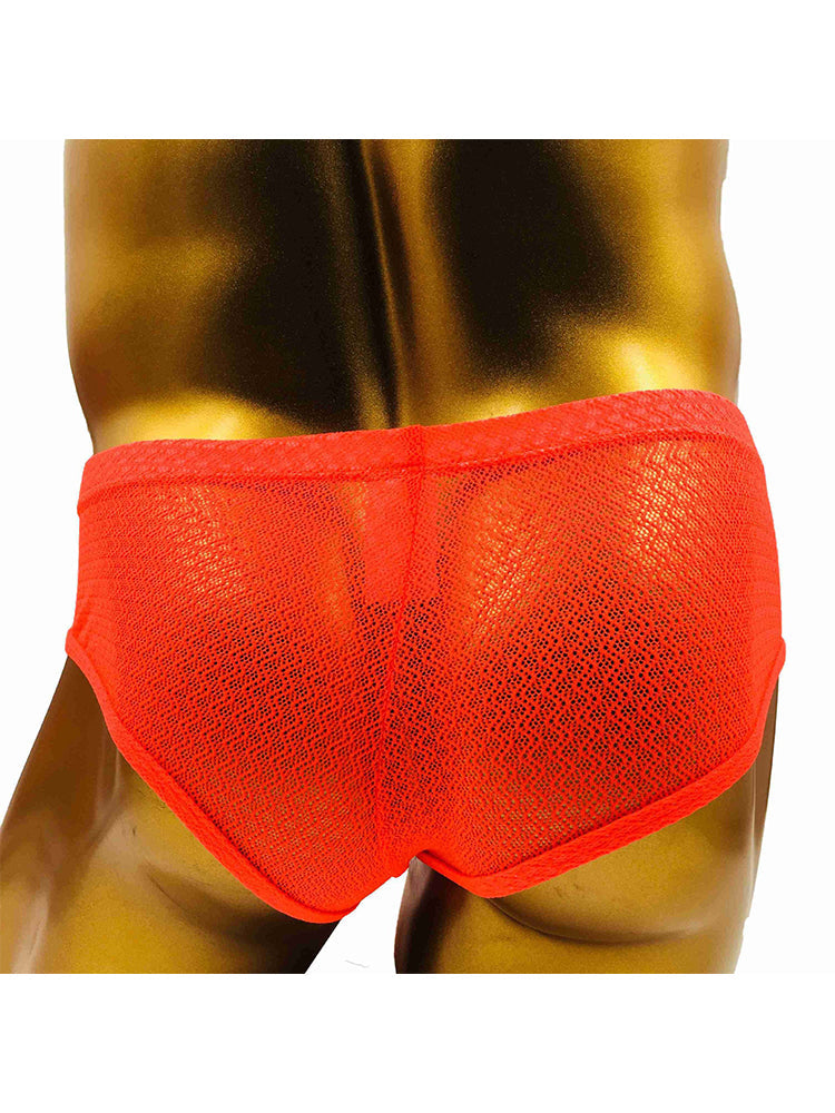 2 Pack Men's Low-Rise Lace Semi-Transparent Trunks