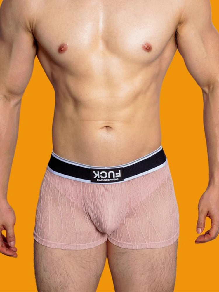3 Pack Men's Lace Mesh Quick-Drying Breathable Solid Color Trunks