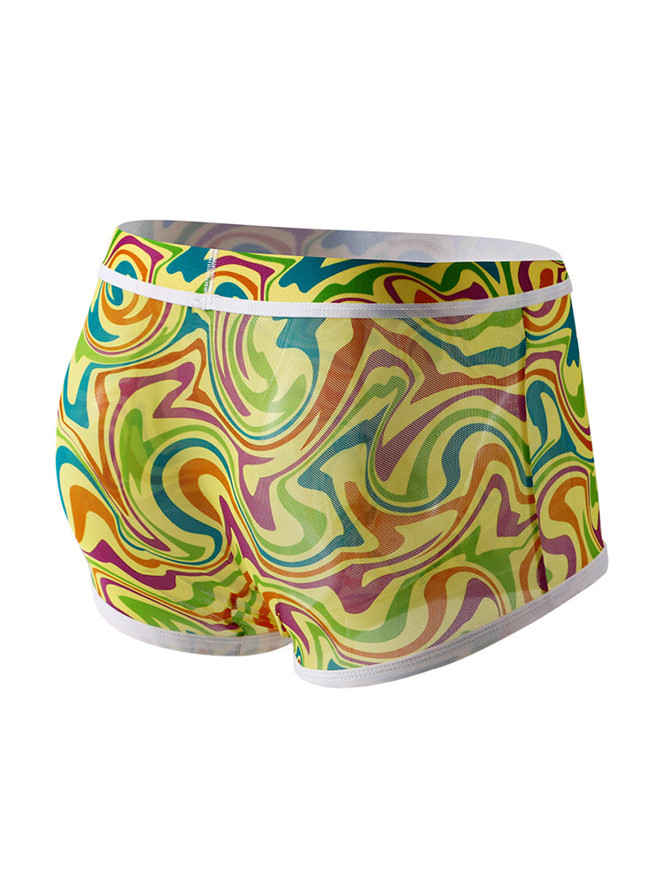 2-pack Men's Mesh Elephant Nose Transparent Boxer Briefs