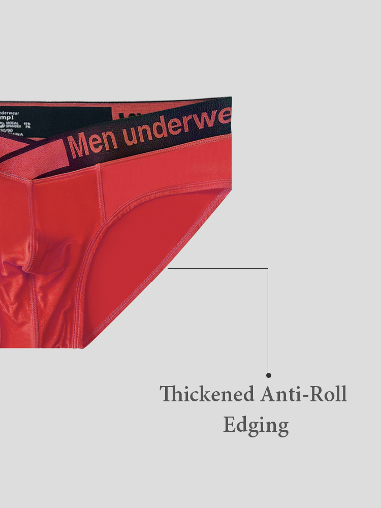 2 Pack Men's V Waistband Modal Briefs