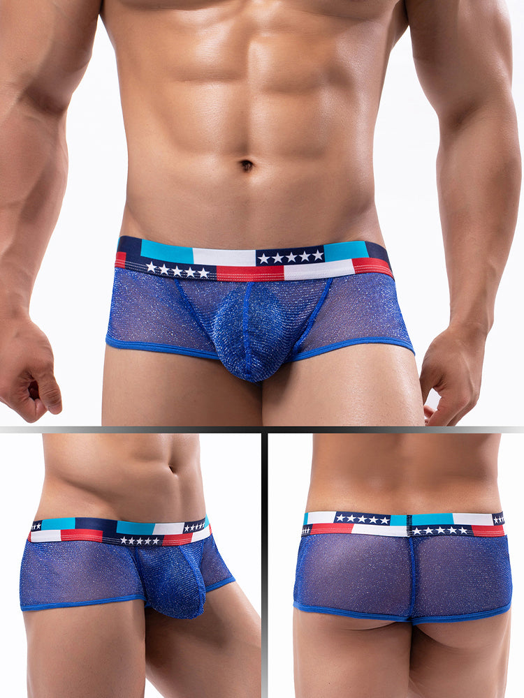 4-pack Men's Low-rise See-through Micro-mesh Pouch Shiny U-convex Wide-edge Boxer Briefs