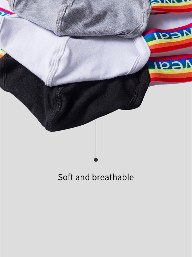 3-pack Men's Rainbow Cotton Thong