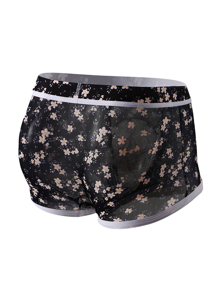 2-pack Men's Mesh Elephant Nose Transparent Boxer Briefs