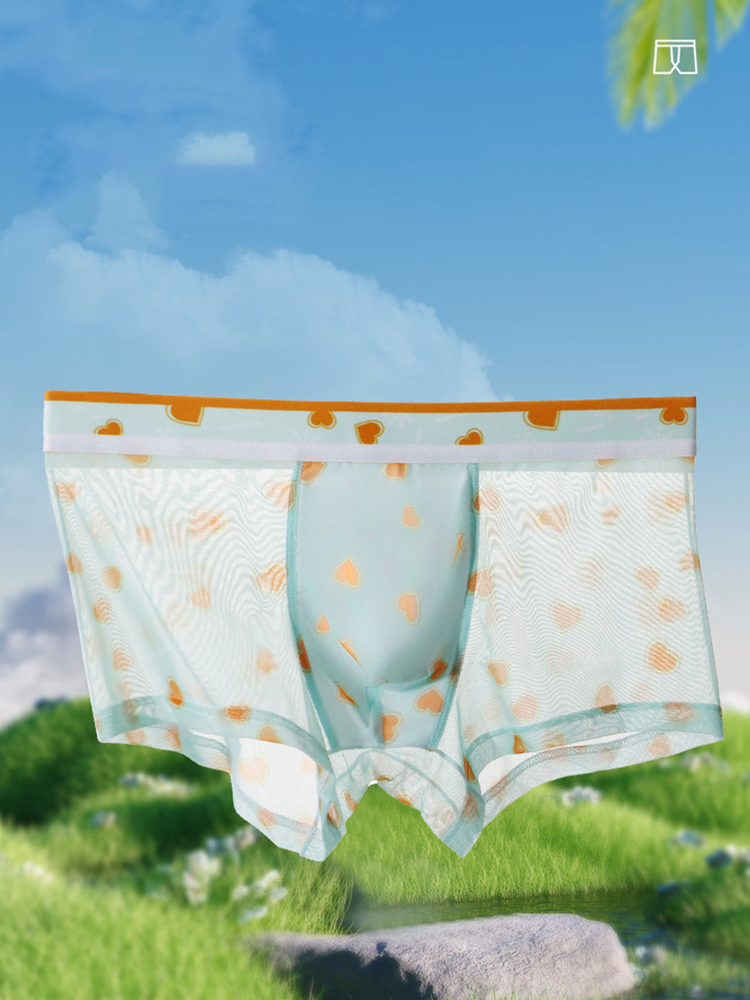 4 Pack Men's Sexy Printed Mesh Trunks