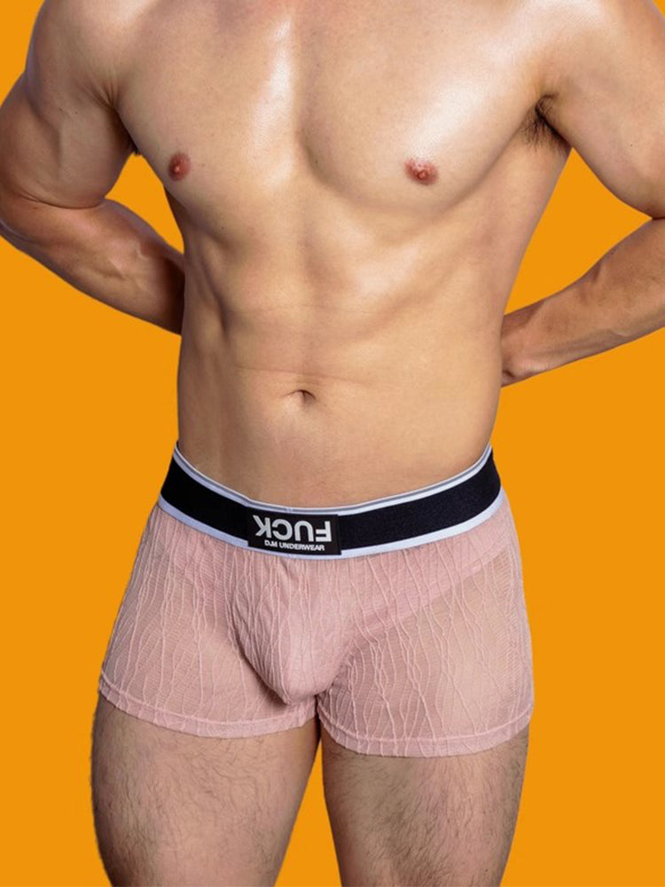 3 Pack Men's Lace Mesh Quick-Drying Breathable Solid Color Trunks