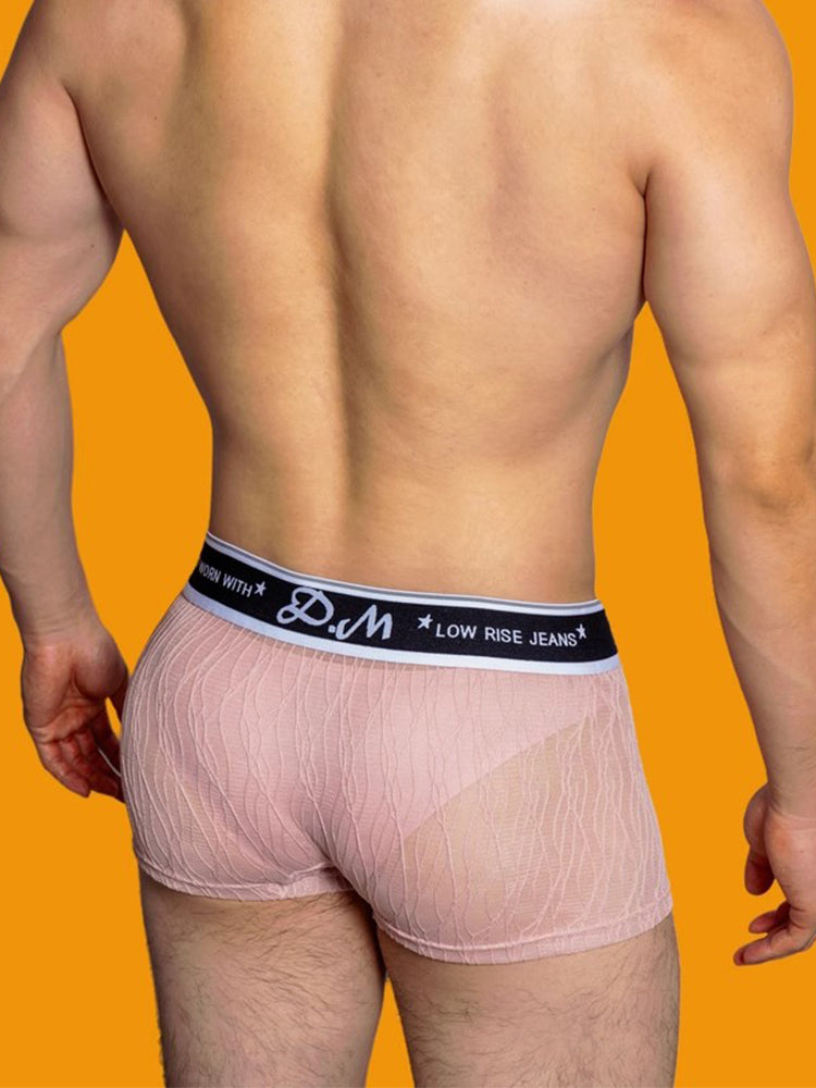 3 Pack Men's Lace Mesh Quick-Drying Breathable Solid Color Trunks