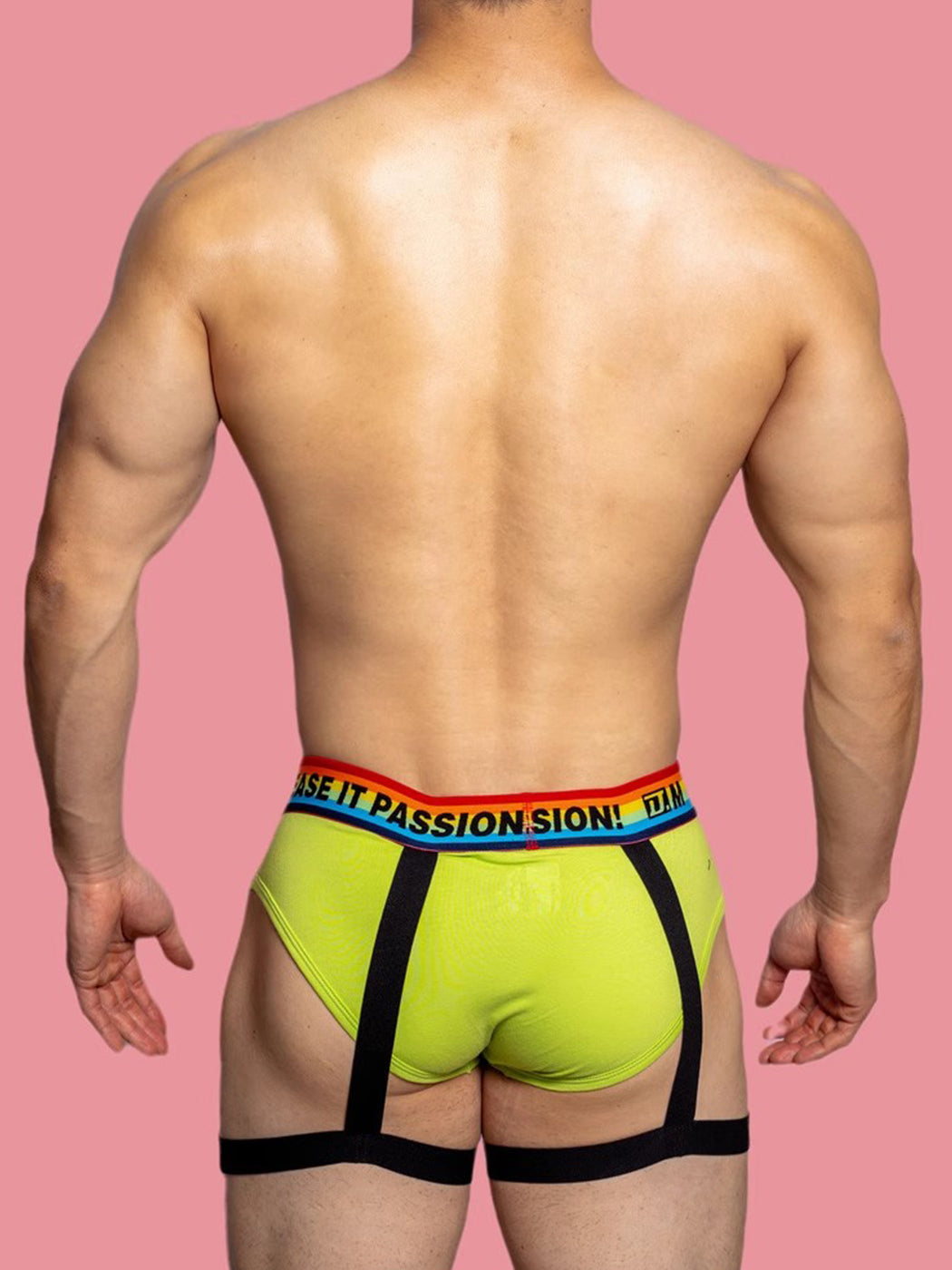 2 Pack Men's Rainbow Solid Color Suspender Briefs