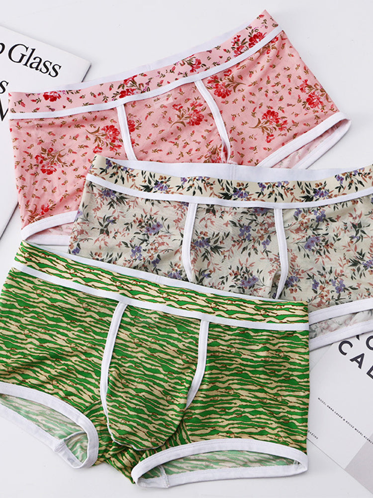 2-pack Men's Mesh Elephant Nose Transparent Boxer Briefs