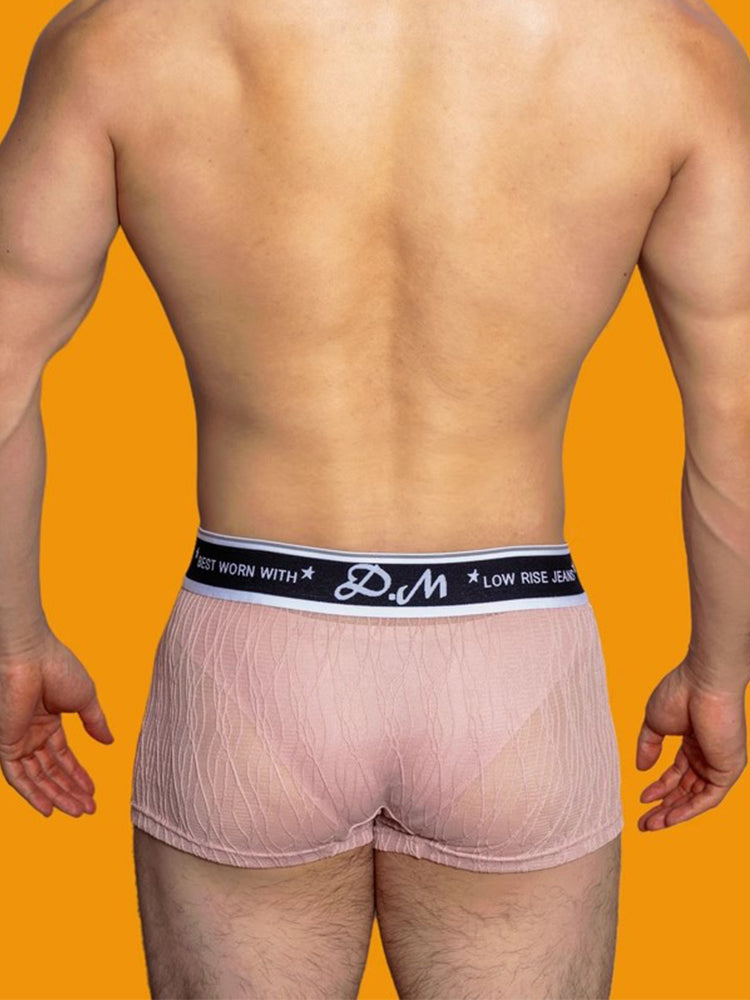 3 Pack Men's Lace Mesh Quick-Drying Breathable Solid Color Trunks