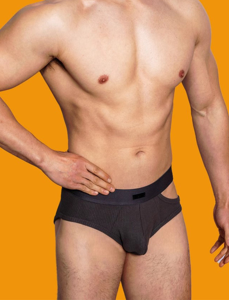 2 Pack Men's Low-Rise Sexy Side-Opening Briefs