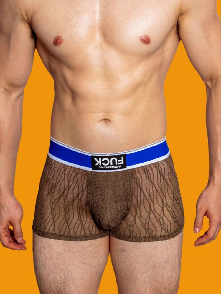 3 Pack Men's Lace Mesh Quick-Drying Breathable Solid Color Trunks