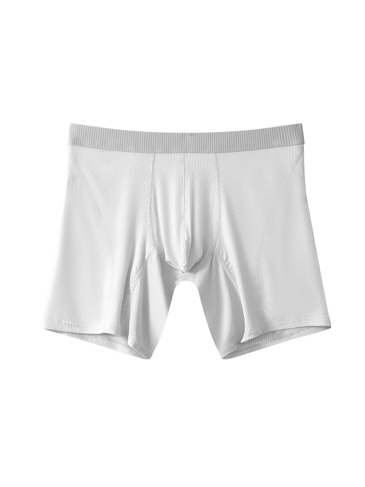 2 Pack Men's Casual Ice Silk Midway Briefs