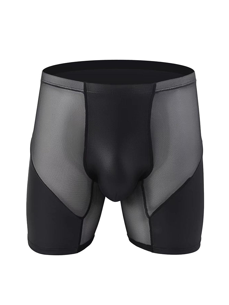 2 Pack Men's Casual Sports Transparent Mesh Midway Briefs