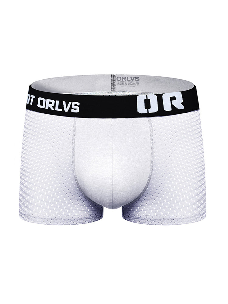 2 Pack Men's Sexy Transparent Seamless Mesh Solid Color Breathable Trunks & Bikini