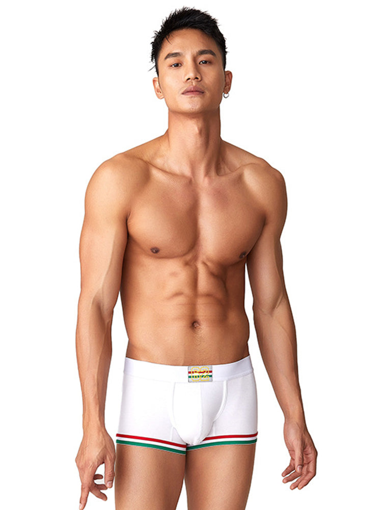 2 Pack Men's Low-Rise Cotton Boxer Briefs