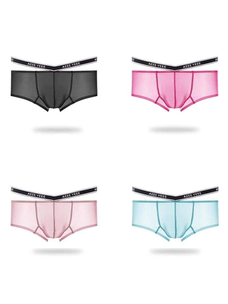Men's Transparent Ice Silk Waistband Separate Briefs