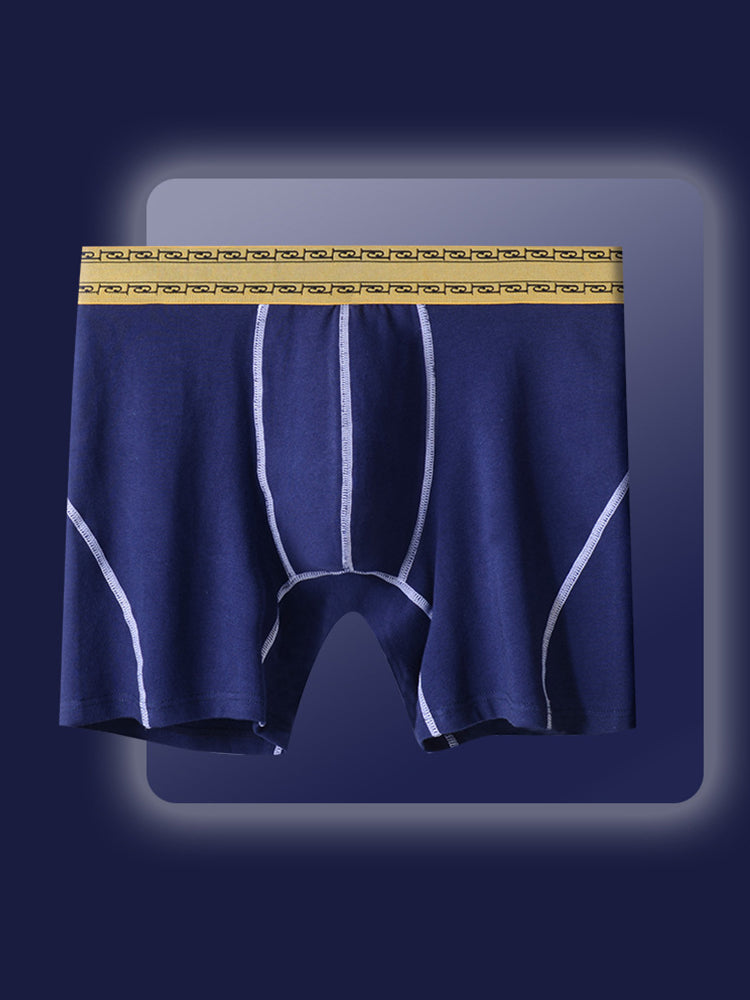 2 Pack Men's Pure Cotton Anti-Chafing Breathable Sports Boxer Briefs