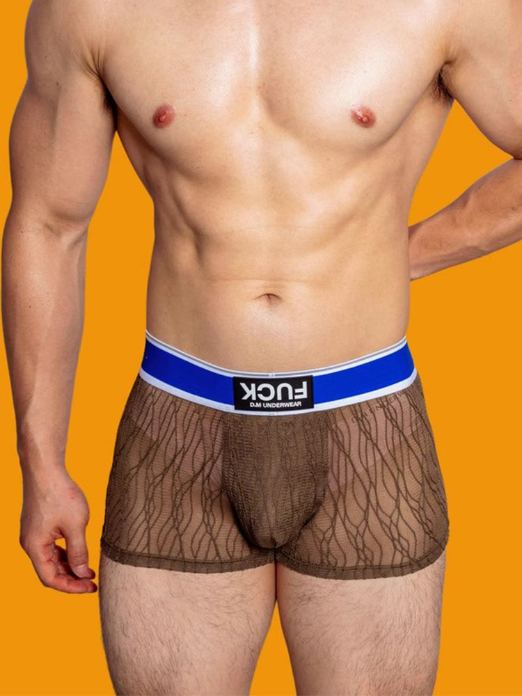 3 Pack Men's Lace Mesh Quick-Drying Breathable Solid Color Trunks