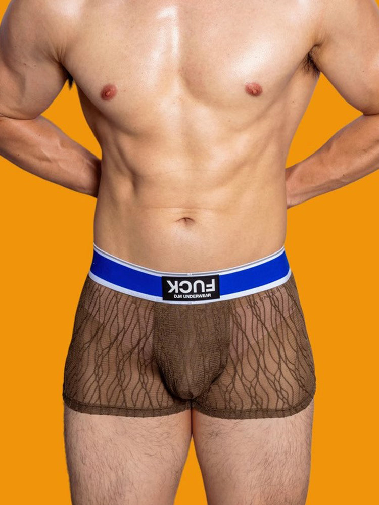 3 Pack Men's Lace Mesh Quick-Drying Breathable Solid Color Trunks
