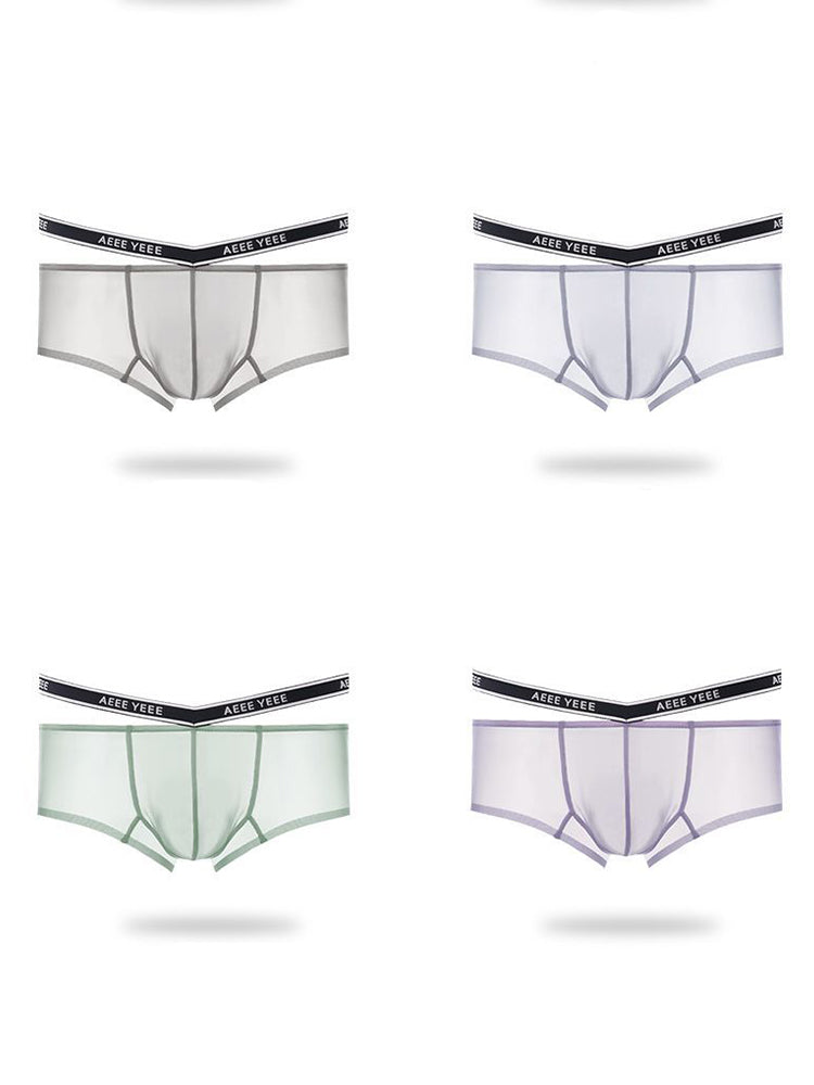Men's Transparent Ice Silk Waistband Separate Briefs