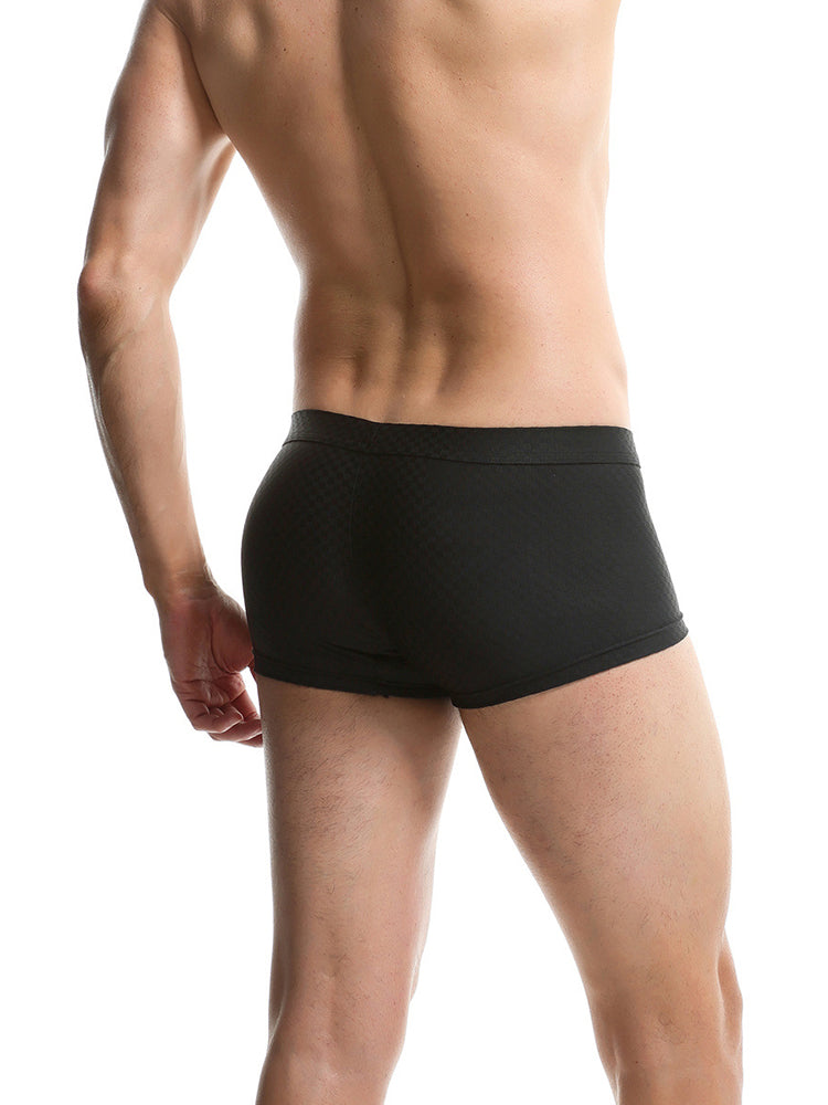 2 Pack Men's U-Pouch Ice Silk Sexy Trunks