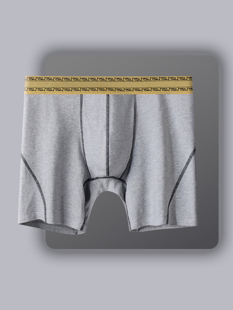 2 Pack Men's Pure Cotton Anti-Chafing Breathable Sports Boxer Briefs