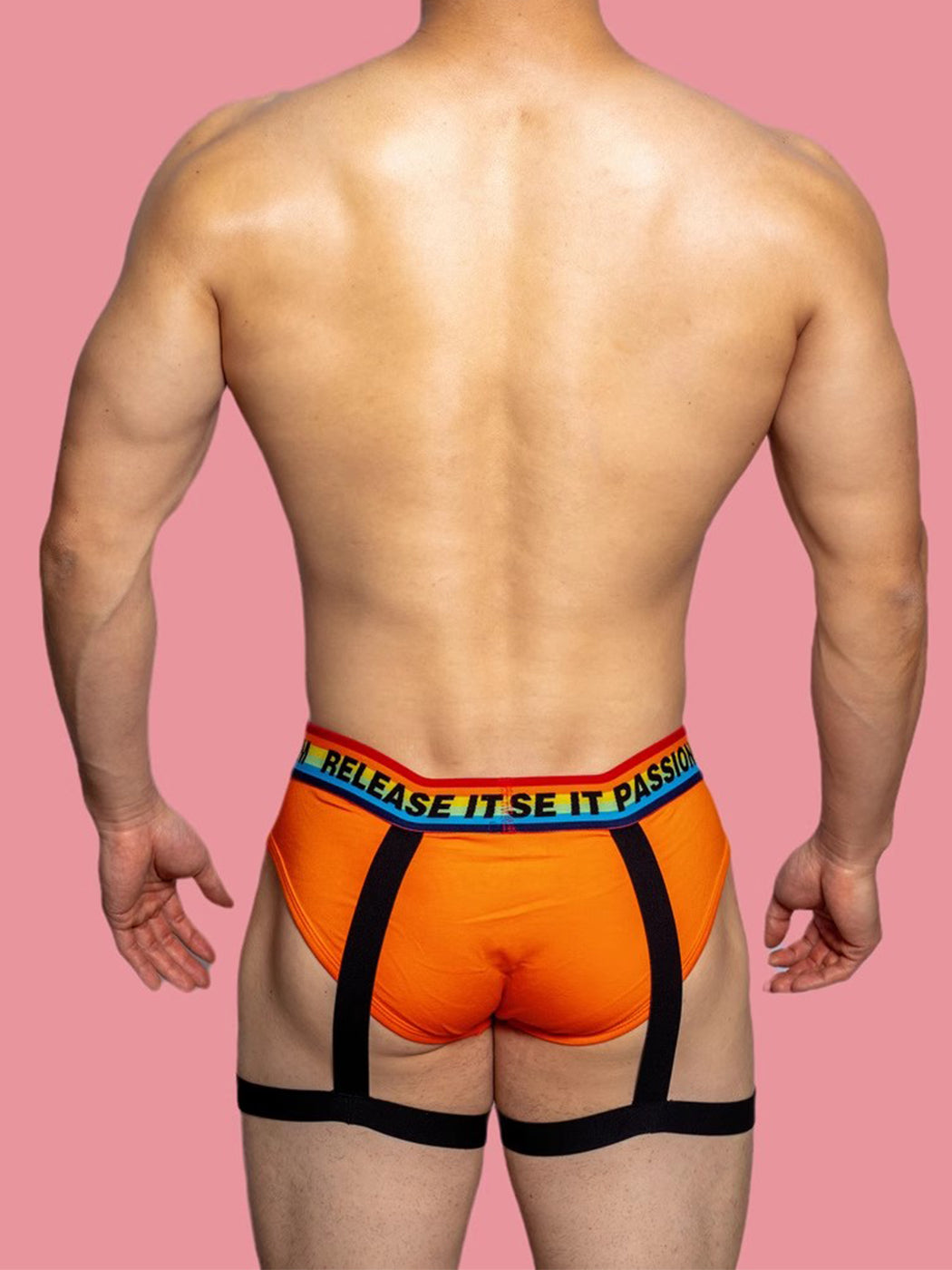 2 Pack Men's Rainbow Solid Color Suspender Briefs