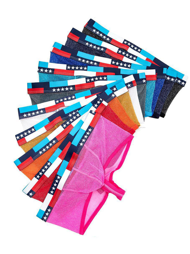 4-pack Men's Low-rise See-through Micro-mesh Pouch Shiny U-convex Wide-edge Boxer Briefs