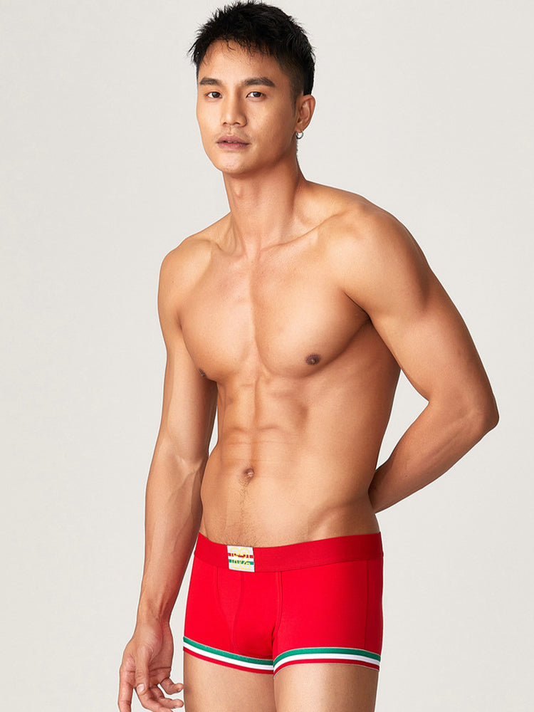 2 Pack Men's Low-Rise Cotton Boxer Briefs