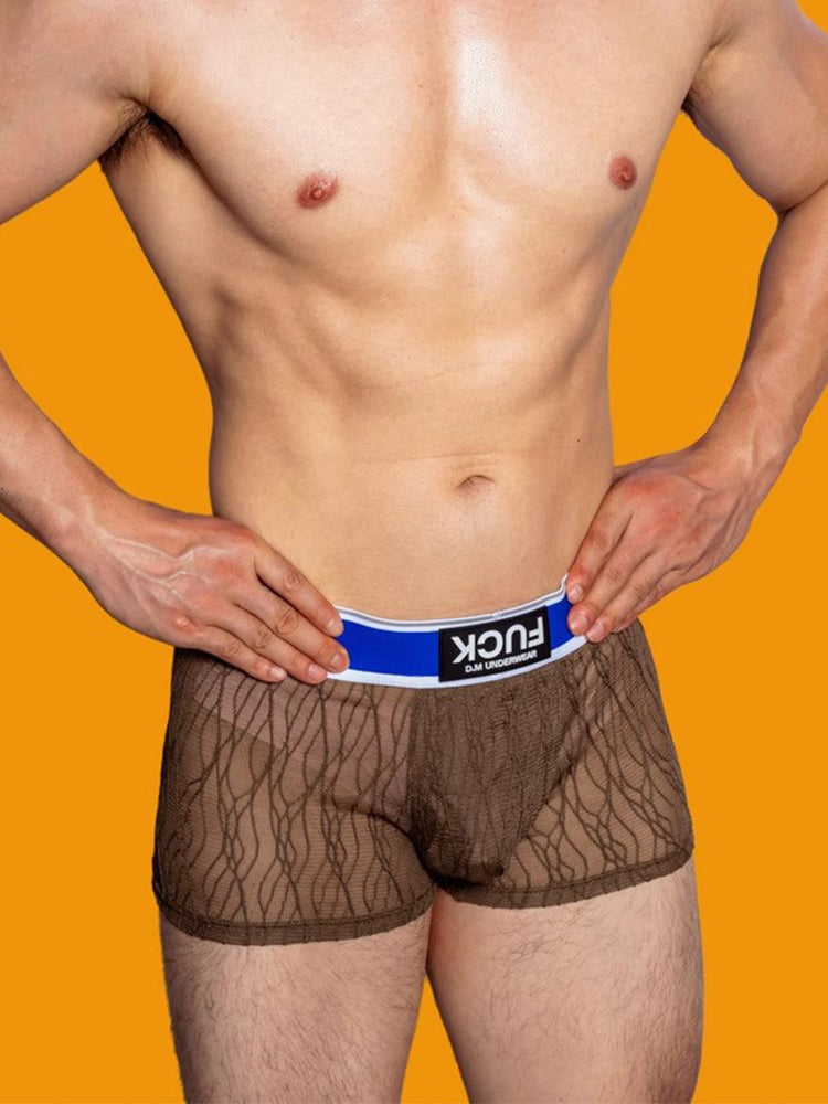 3 Pack Men's Lace Mesh Quick-Drying Breathable Solid Color Trunks