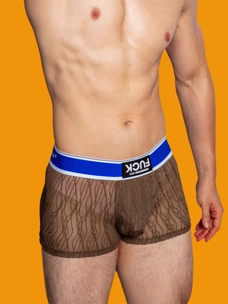 3 Pack Men's Lace Mesh Quick-Drying Breathable Solid Color Trunks