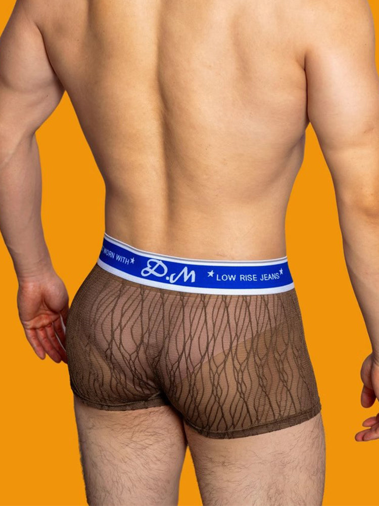 3 Pack Men's Lace Mesh Quick-Drying Breathable Solid Color Trunks