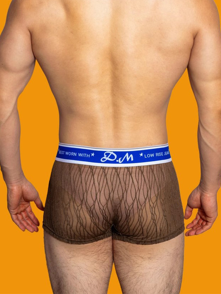 3 Pack Men's Lace Mesh Quick-Drying Breathable Solid Color Trunks