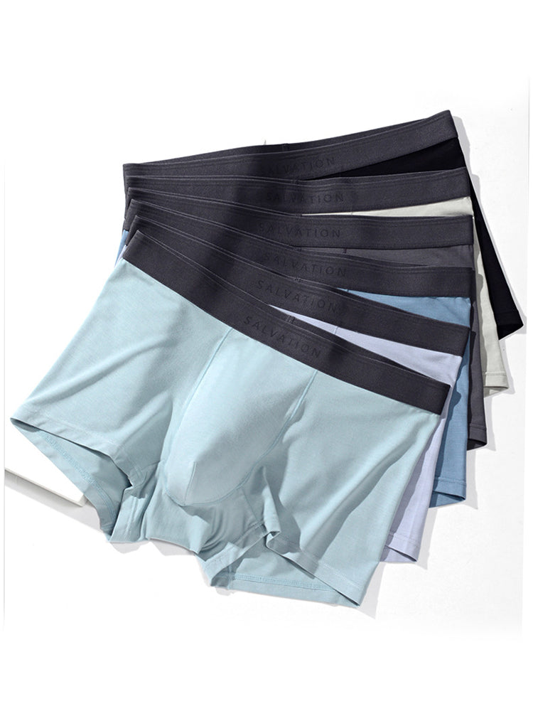 2 Pack Men's Anti-Bacterial Modal Trunks