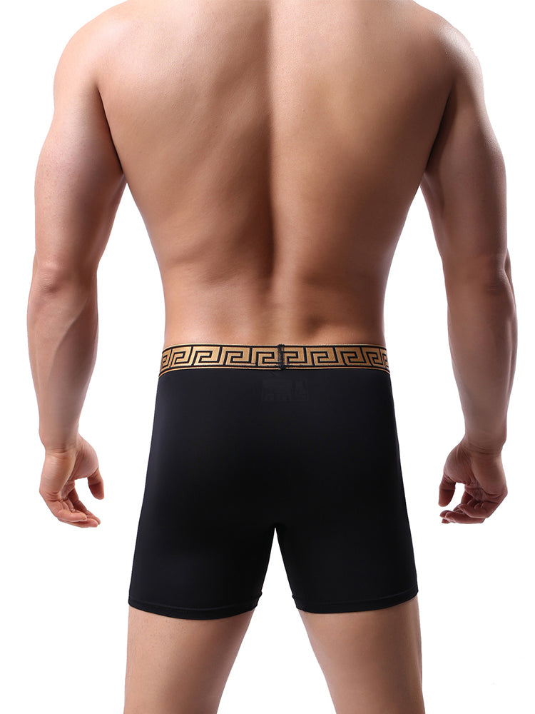 2 Pack Men's Sexy Sports Ice Silk Boxer Briefs