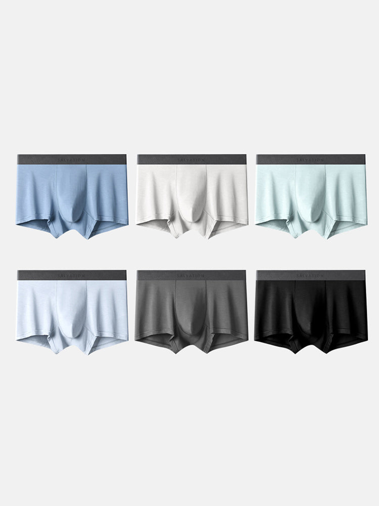 2 Pack Men's Anti-Bacterial Modal Trunks