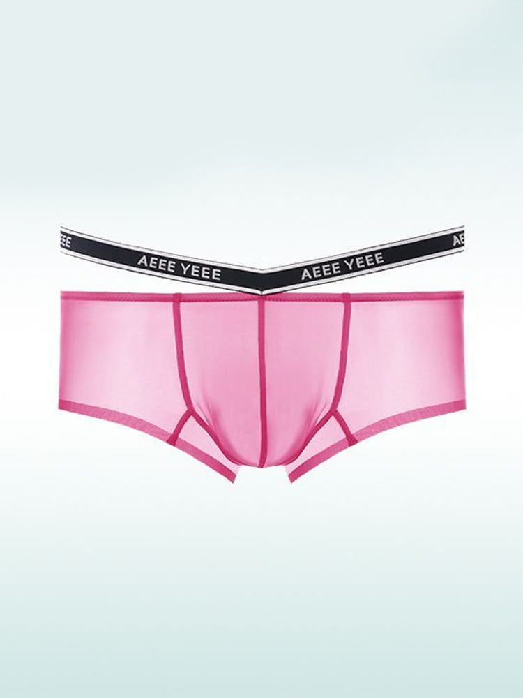 Men's Transparent Ice Silk Waistband Separate Briefs