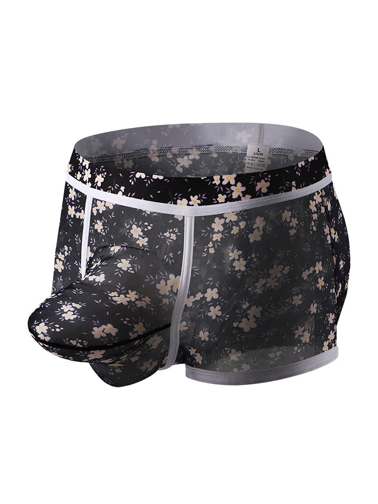 2-pack Men's Mesh Elephant Nose Transparent Boxer Briefs