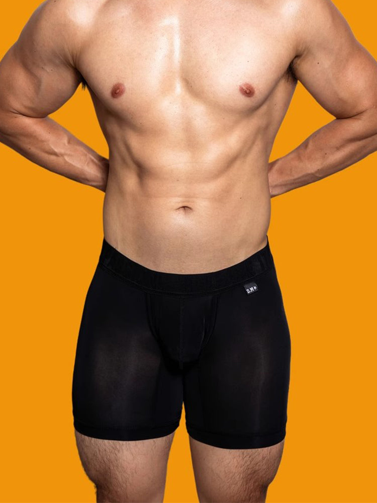 2 Pack Men's Trendy Breathable Ice Silk Boxer Briefs