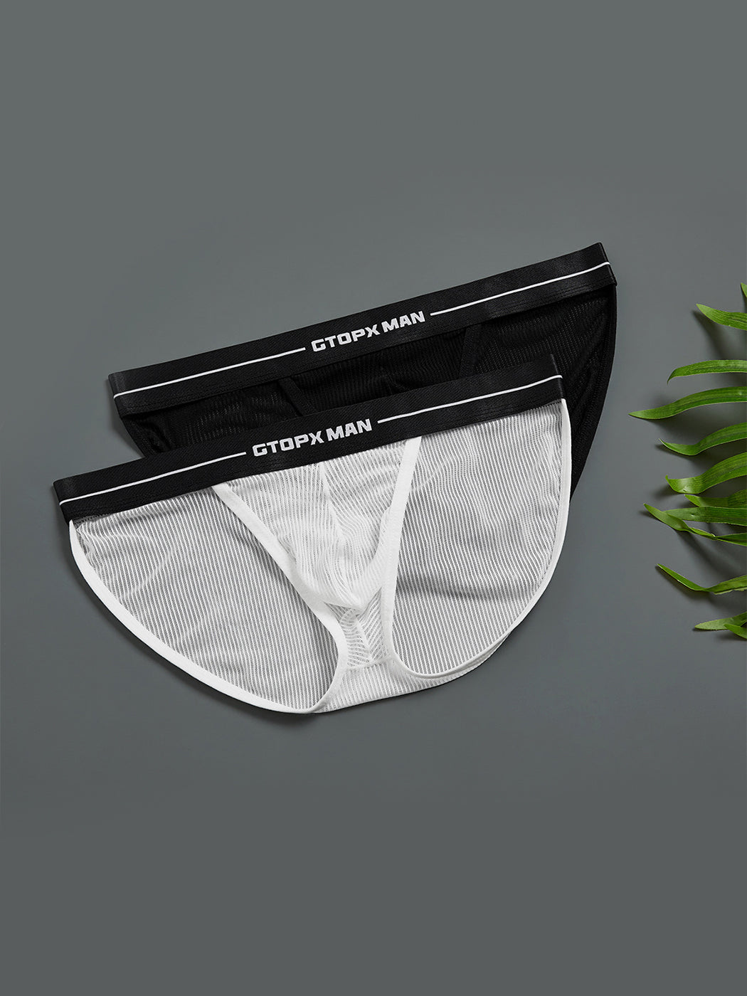 2 Pack Men's Sexy Striped Mesh Briefs