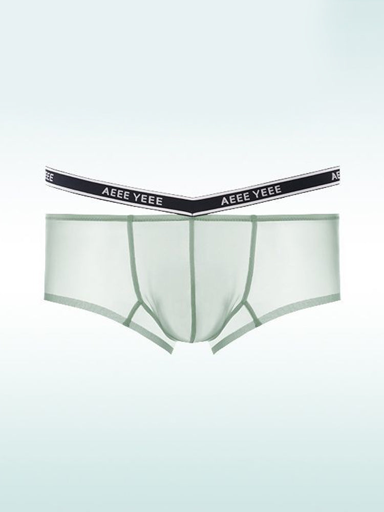 Men's Transparent Ice Silk Waistband Separate Briefs