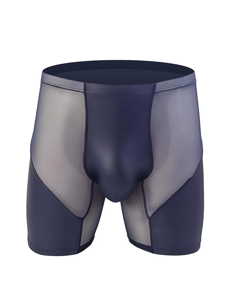 2 Pack Men's Casual Sports Transparent Mesh Midway Briefs